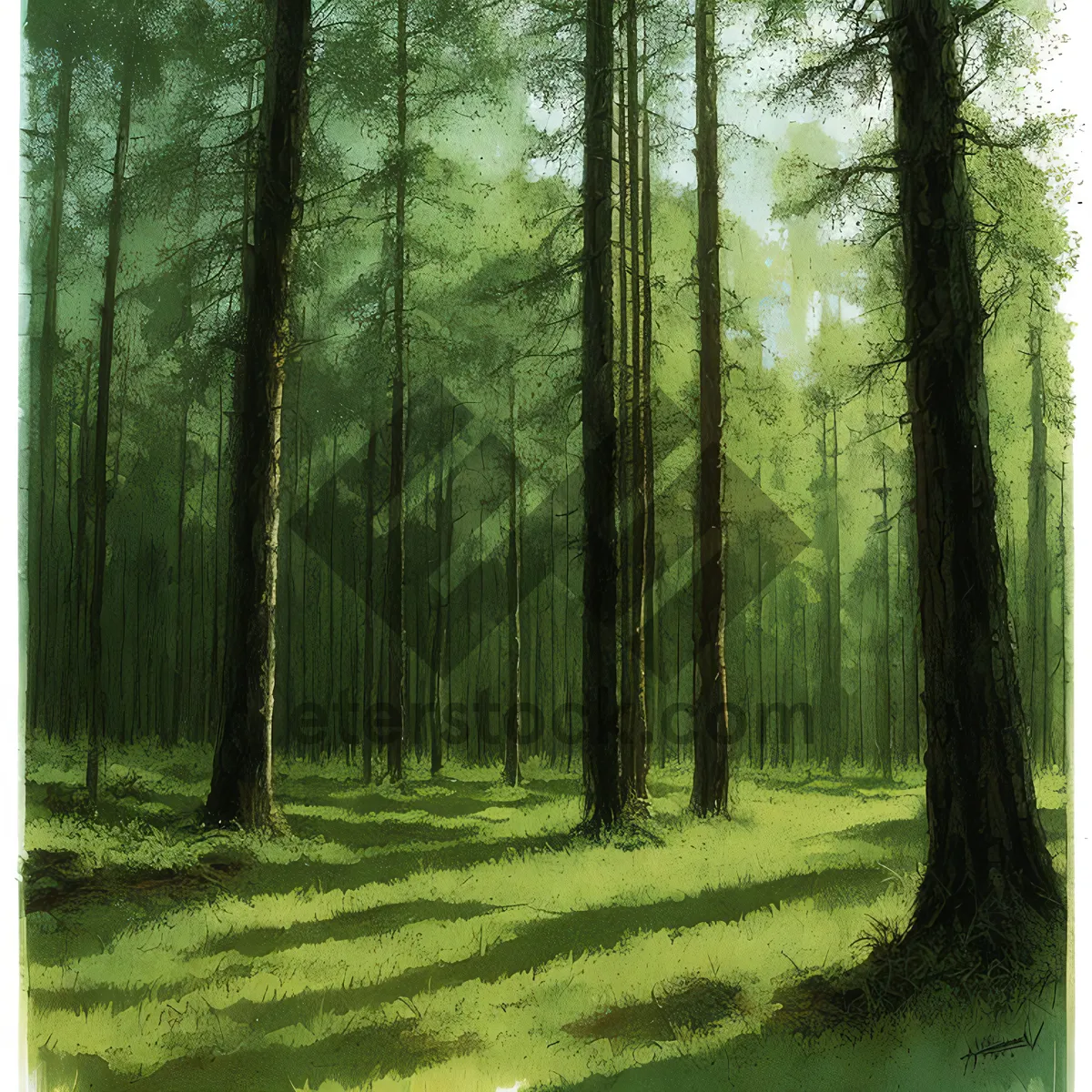 Picture of Serene Woodland Path in a Sunlit Forest