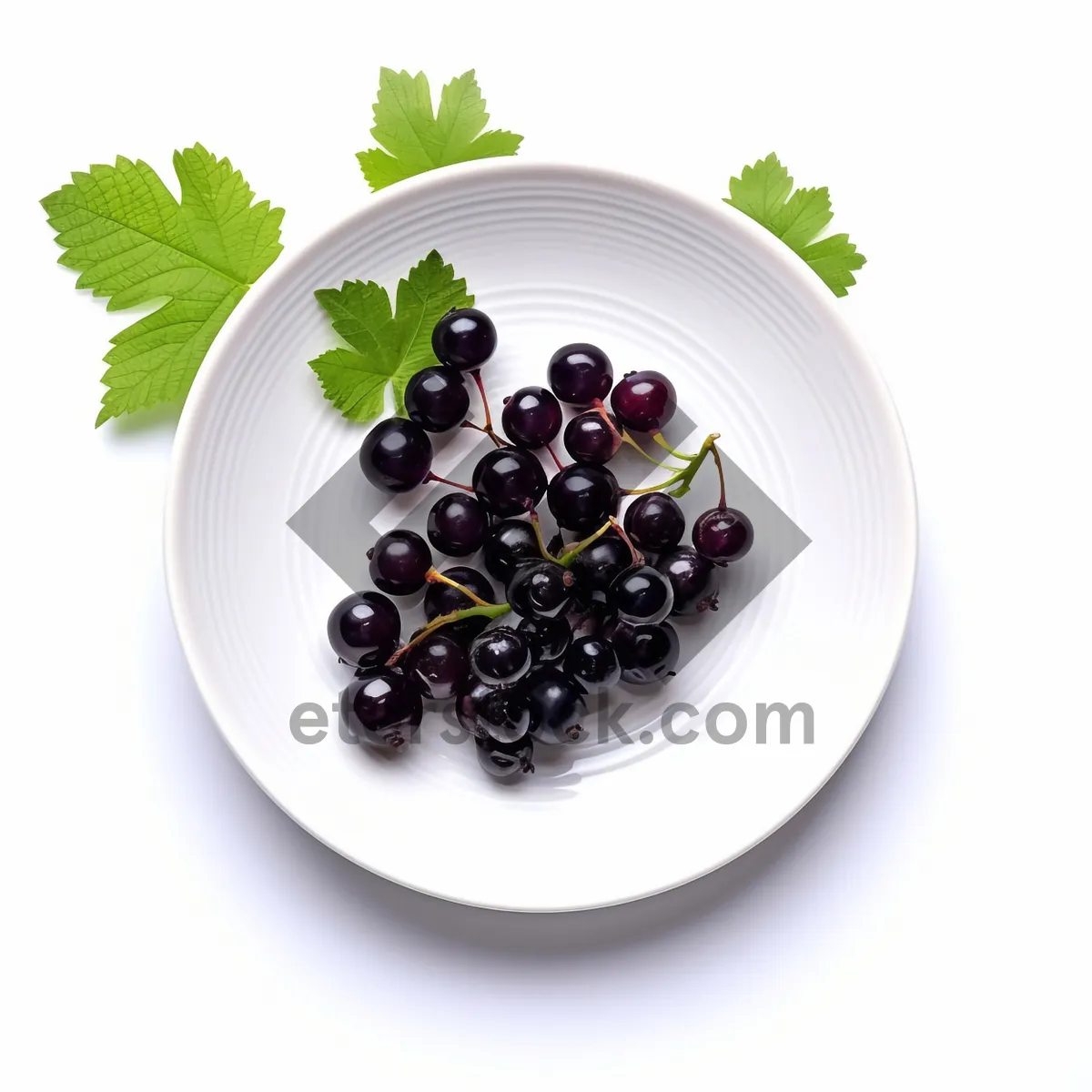 Picture of Juicy Black Currant Closeup-Fresh and Healthy Berry