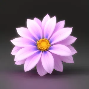 Pink Daisy Blossom - Vibrant Floral Petal in Bloom