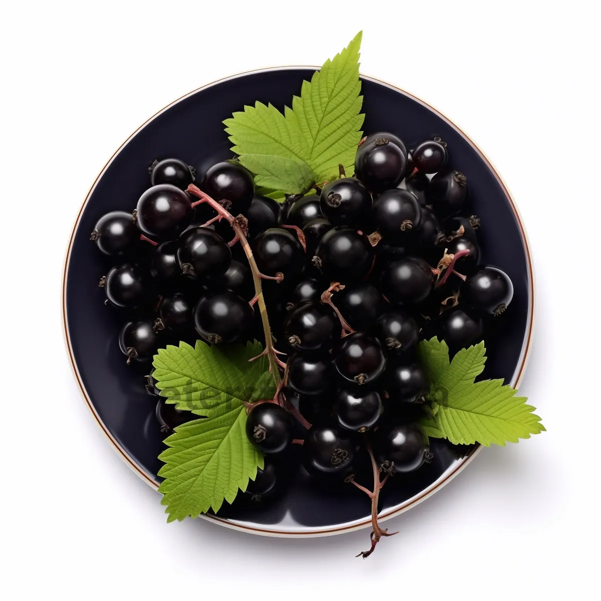 Picture of Juicy grape vines for fresh fruit decoration.