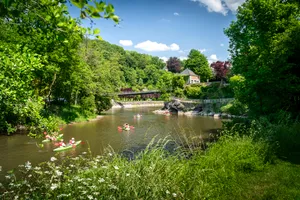 Tranquil Lakeside Park with Lush Greenery