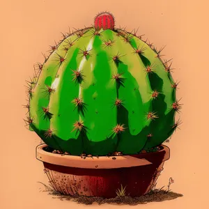 Festive Winter Cactus Plant Decoration