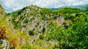 Mountain landscape with trees and grassy valley