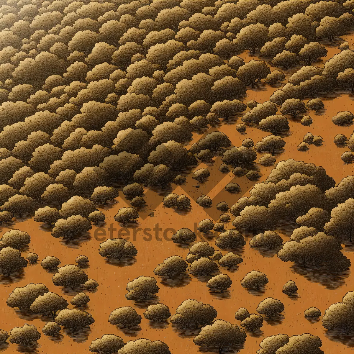 Picture of Black Bean Closeup Texture Pattern Stone Spice Lentil