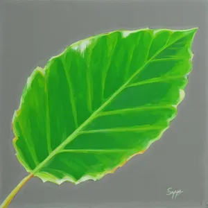 Fresh Green Taro Leaf: Vibrant and Futuristic Foliage Wallpaper