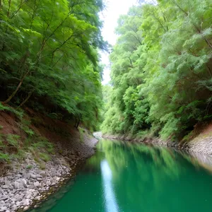 Serene Woodland Escape: Trees, River, and Waterfall