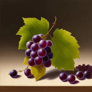 Juicy Bunch of Fresh Grapes