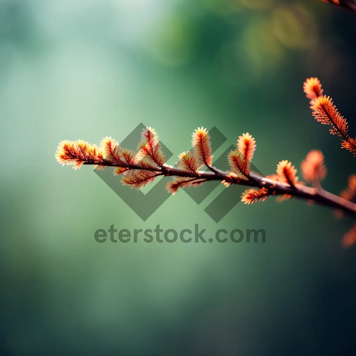 Picture of Autumn Sumac Blossom Against Blue Sky