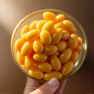 Fresh Organic Yellow Corn - Nutritious Vegan Vegetable