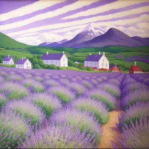 Vibrant Lavender Field Blossoming with Colorful Flowers