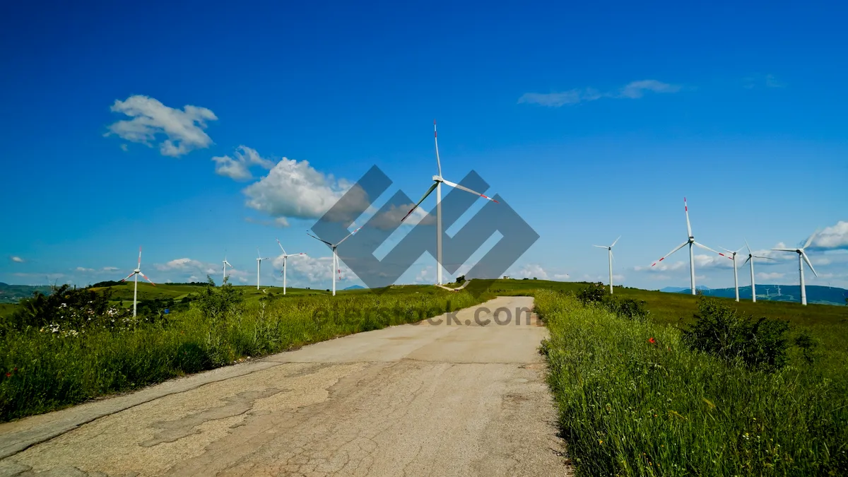 Picture of Clean Energy Wind Turbines in Industrial Landscape