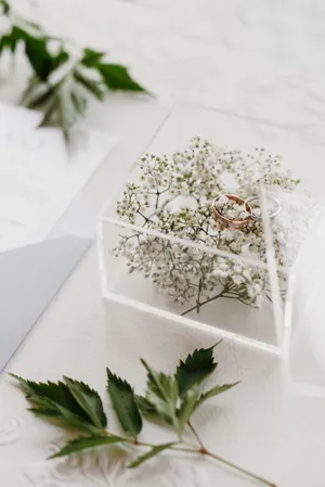 Fresh Plant Bouquet with White Flowers