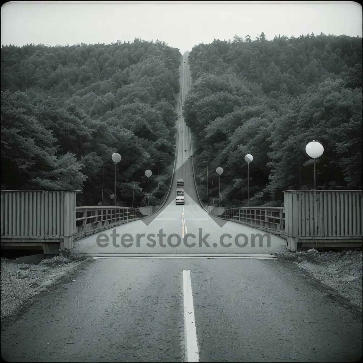 Picture of Suspension Bridge Crossing Majestic Tree-Lined Landscape