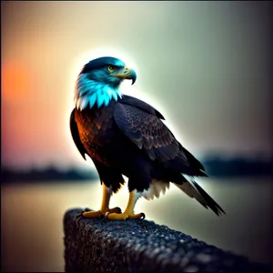 Majestic Bird with Vibrant Yellow Feathers