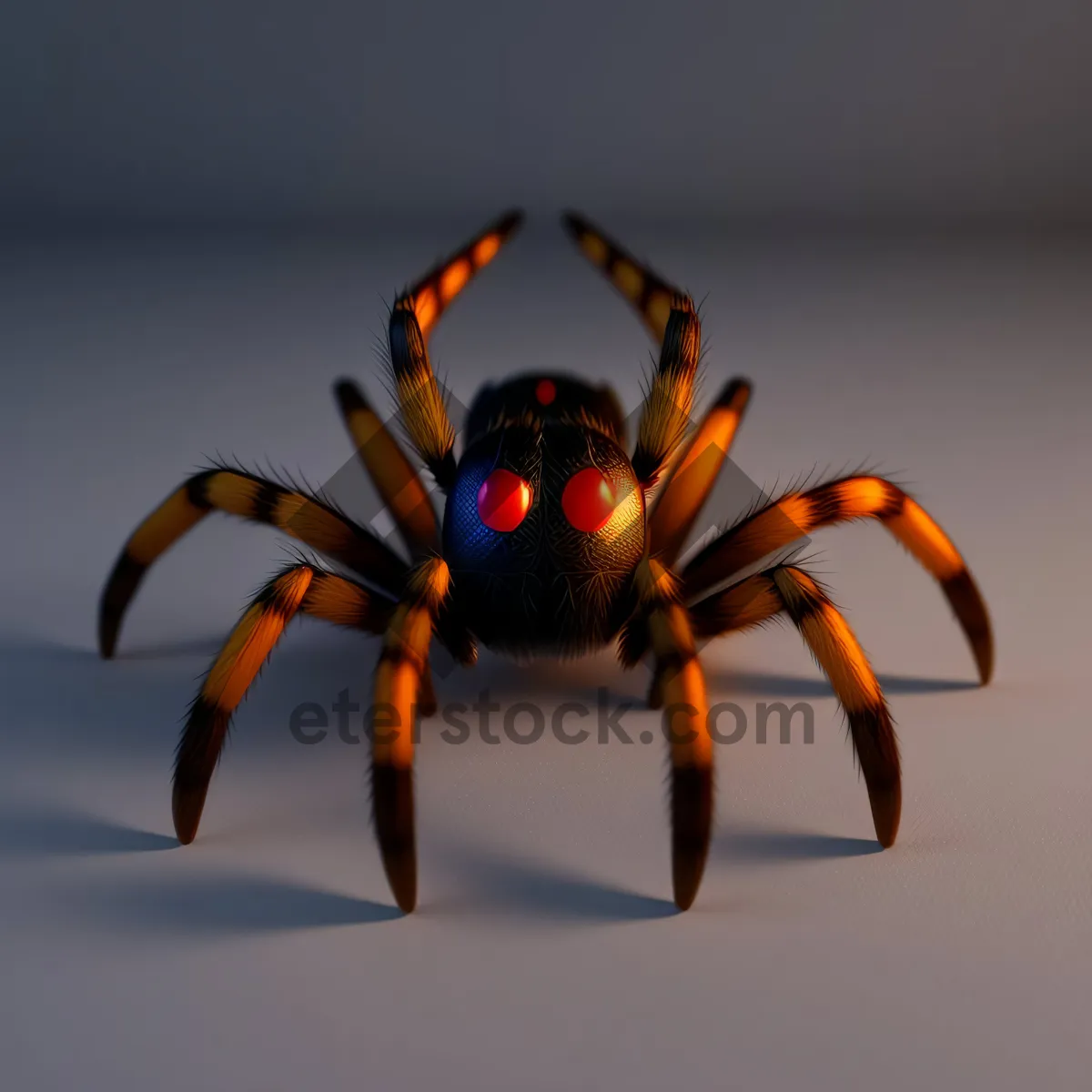 Picture of Close-up of Majestic Black Widow Spider