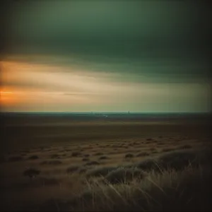 Golden Sunset over the Ocean