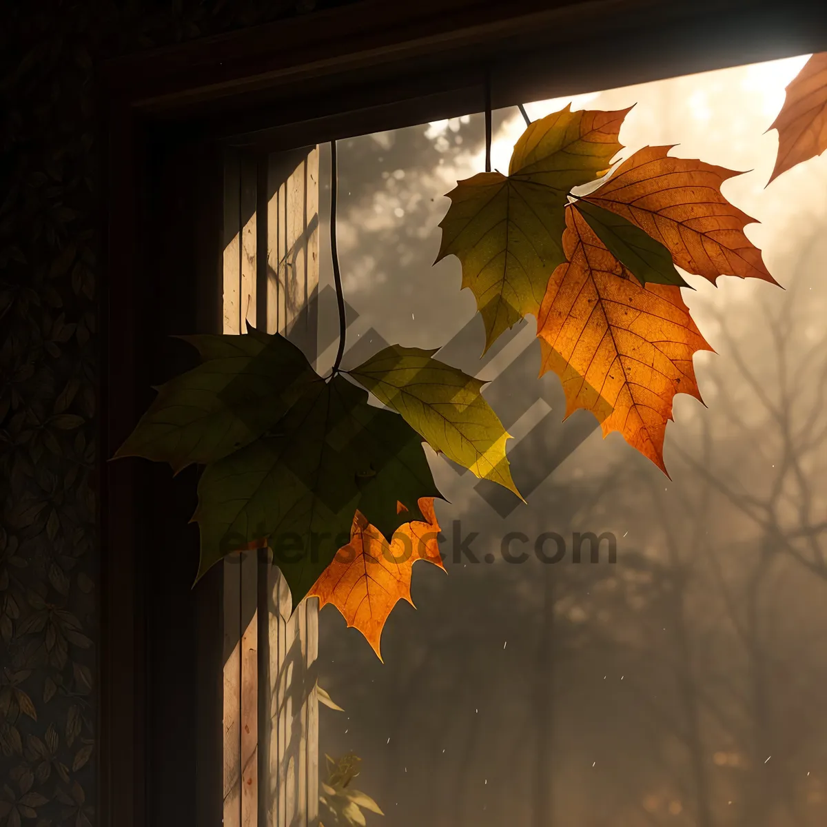 Picture of Vibrant Autumn Leaves in Maple Forest