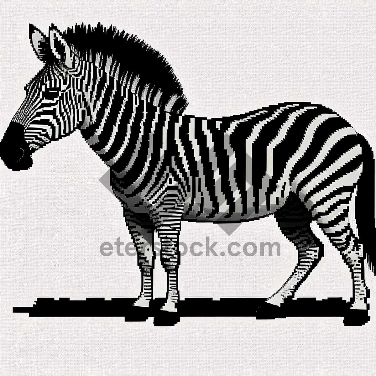 Picture of Striped equine mammal in wild grass: Zebra