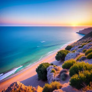 Golden Sunflower Sunset over Beach
