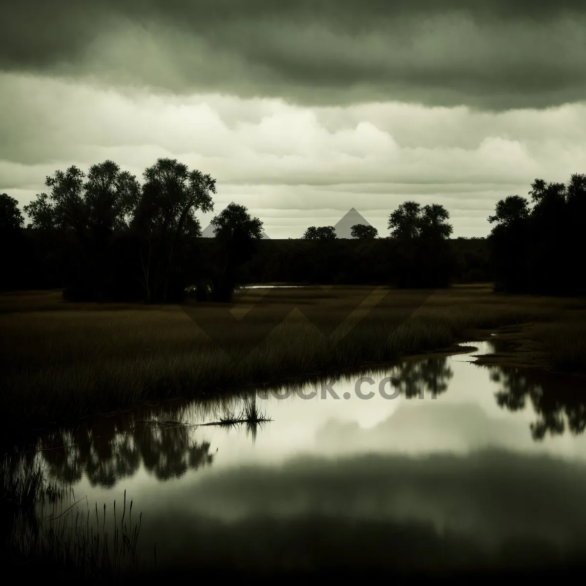 Picture of Tranquil Reflections: Serene Waters and Lush Nature