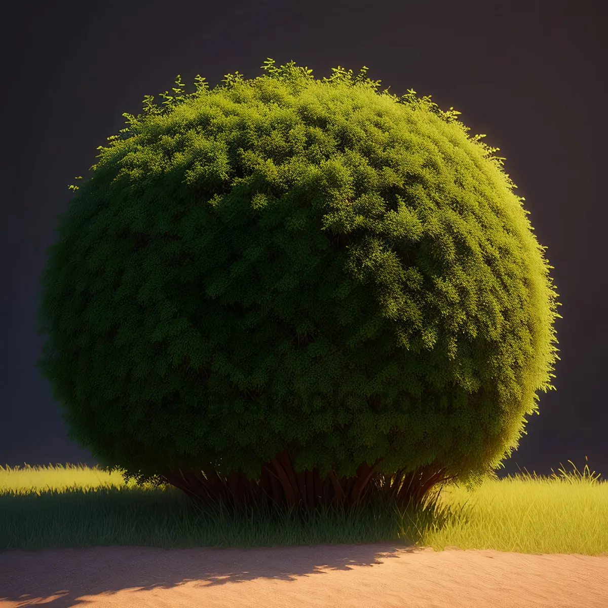 Picture of Summer Tennis Ball on Hay Field