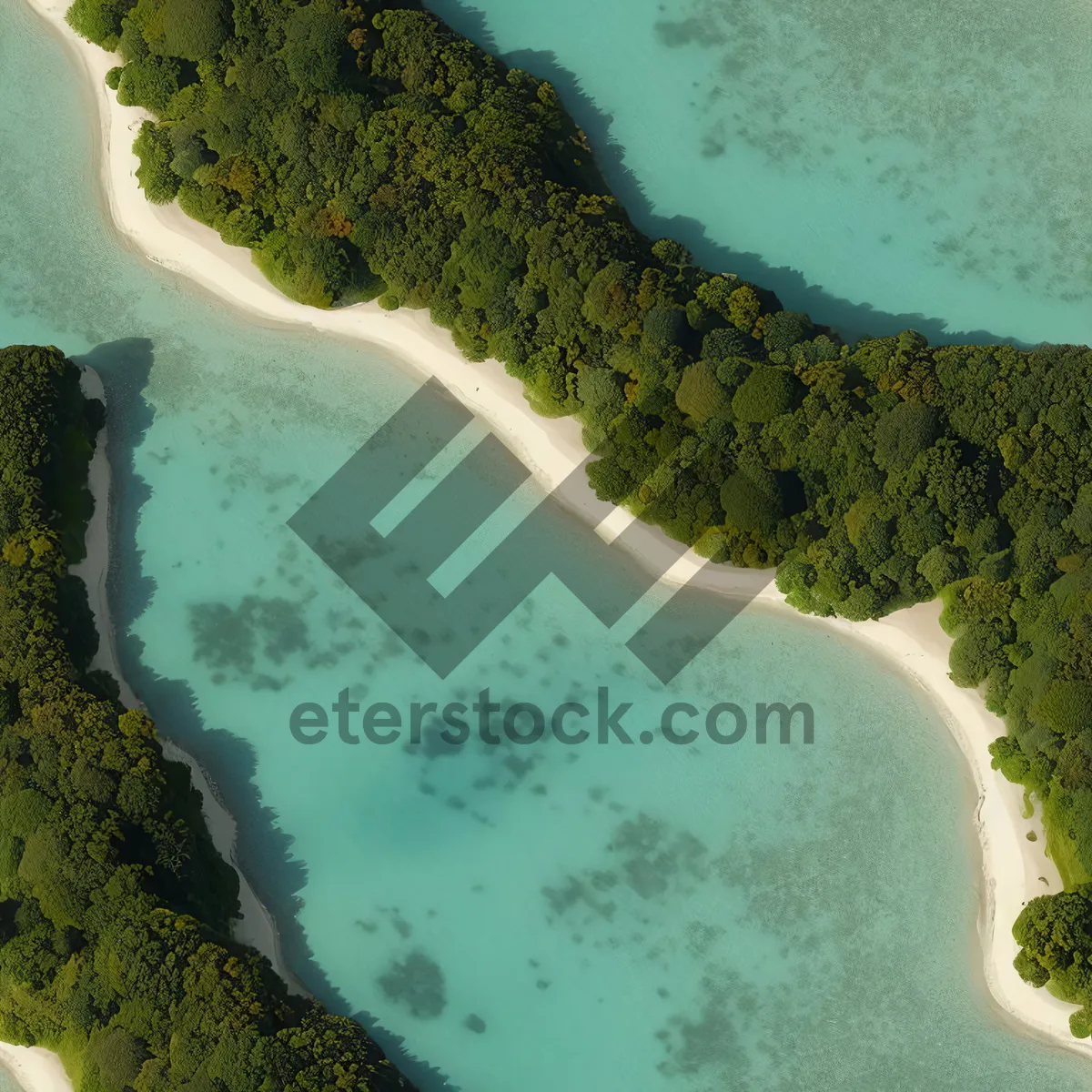 Picture of Tropical beach paradise with captivating sea cucumber