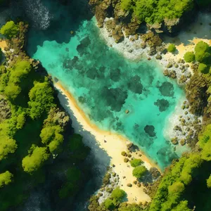 Colorful Marine Life in a Tropical Coral Reef