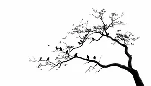 Silhouette of tree against sky in autumn season