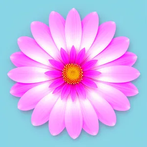 Pink Lotus Blossom - Vivid Floral Elegance for Summer Gardens