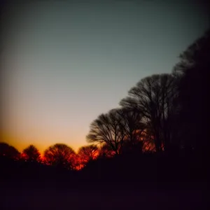 Vibrant Summer Sunrise Over Rural Field