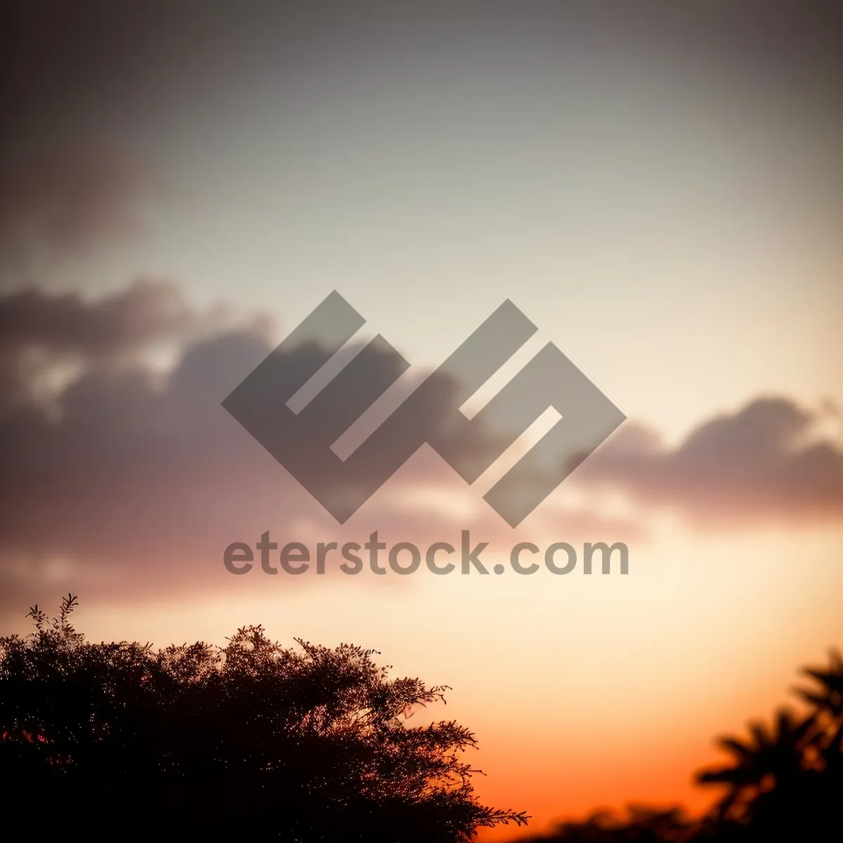 Picture of Vibrant Sunset Over Summer Landscape