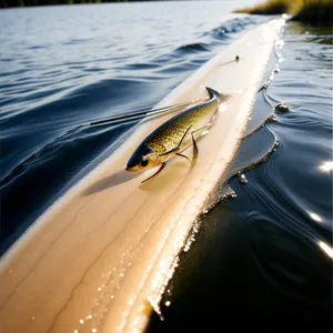 Serene Sunset Kayak Adventure on Ocean Waves
