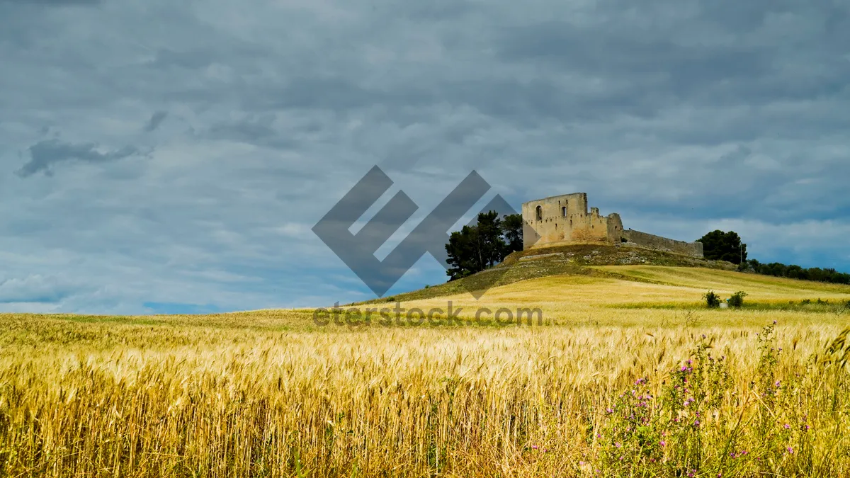 Picture of Medieval castle in rural countryside under summer sky.