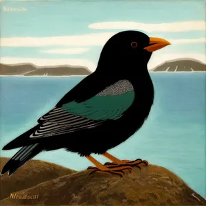 Black-winged Shorebird with Striking Feathers