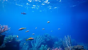 Tropical underwater coral reef with bright sun rays.