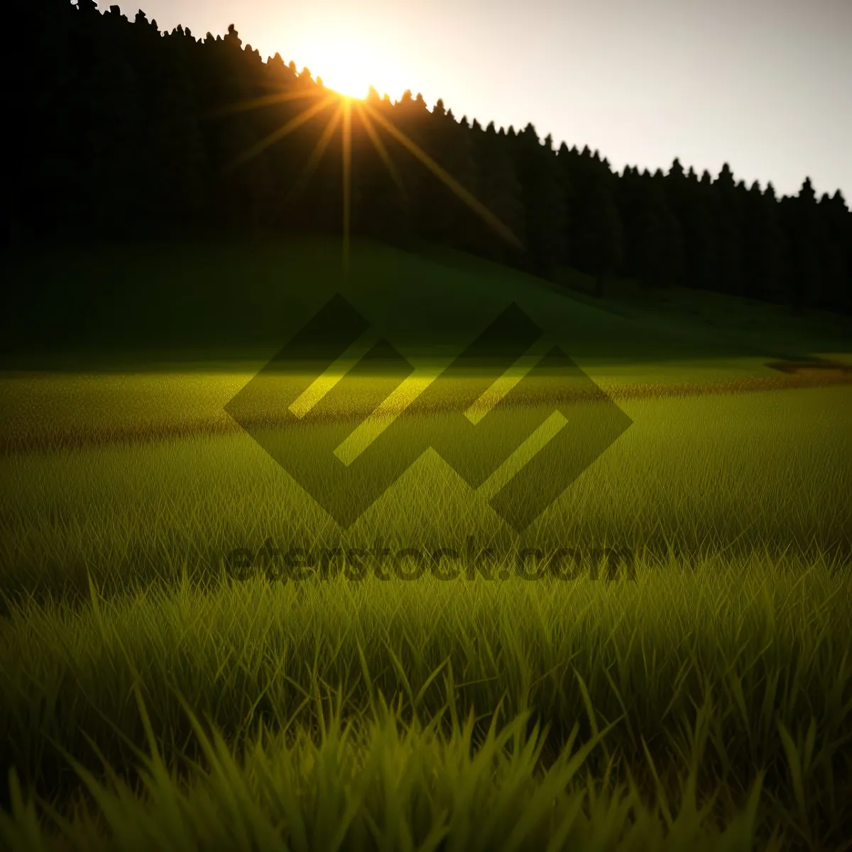 Picture of Golden Horizon: Sun-kissed Meadow in the Countryside