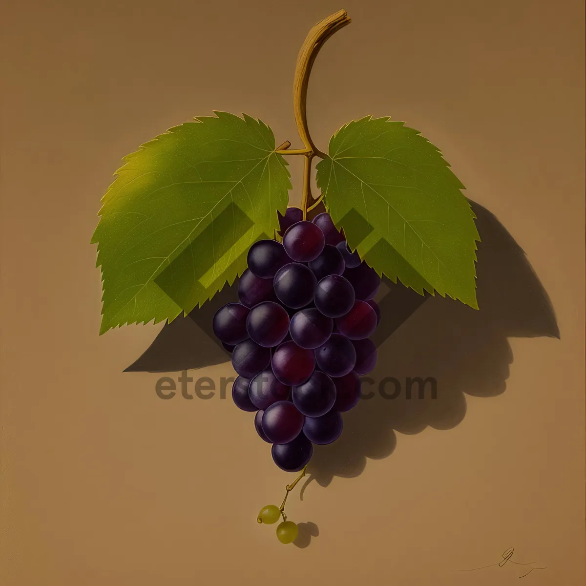 Picture of Juicy Fresh Grapes and Sweet Cherries