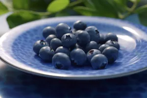 Fresh and Juicy Blueberries Harvested from Vineyard