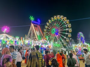 Night Sky Fun at Park Ferris Wheel Ride