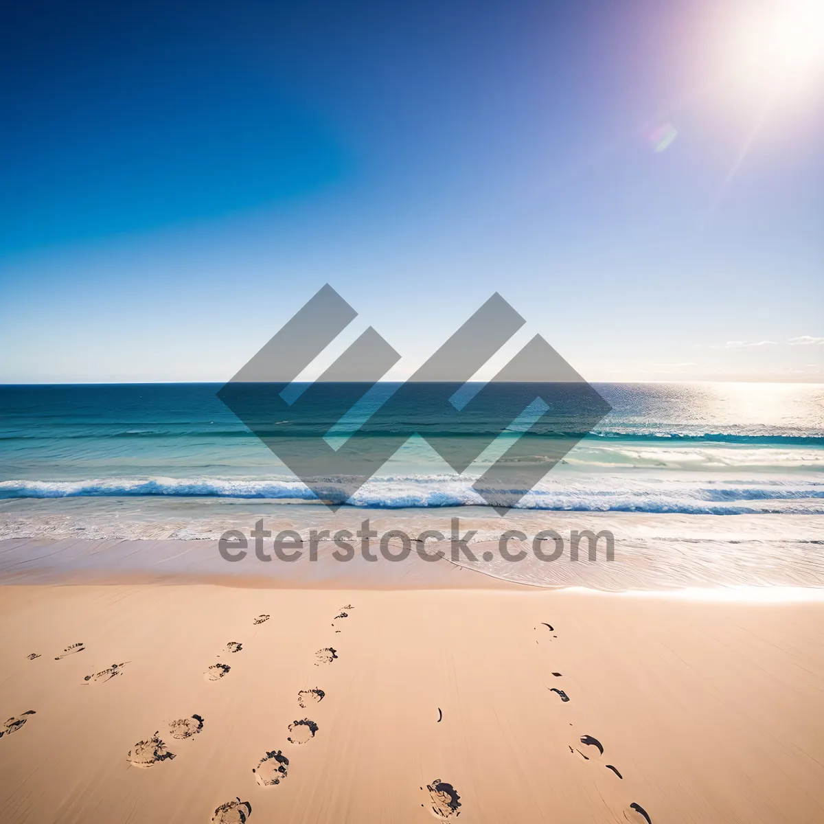Picture of Serenity on the Sun-Kissed Shoreline