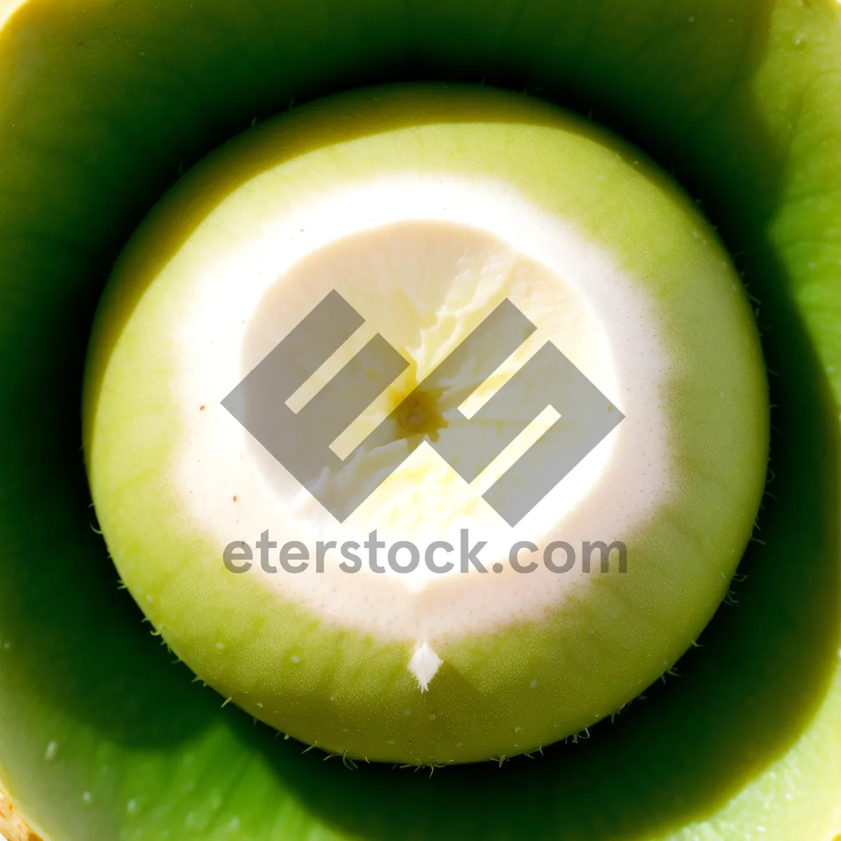 Picture of Refreshing Granny Smith Apple and Kiwi Fruit Slices