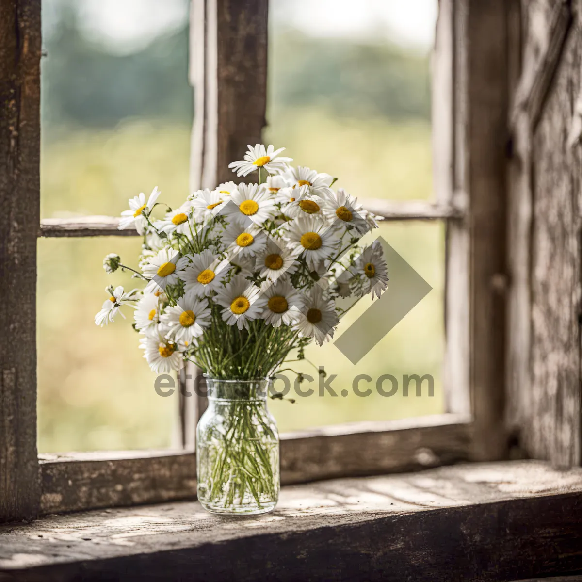 Picture of Blooming Rose Garden Bouquet - Summer Blossoms Closeup