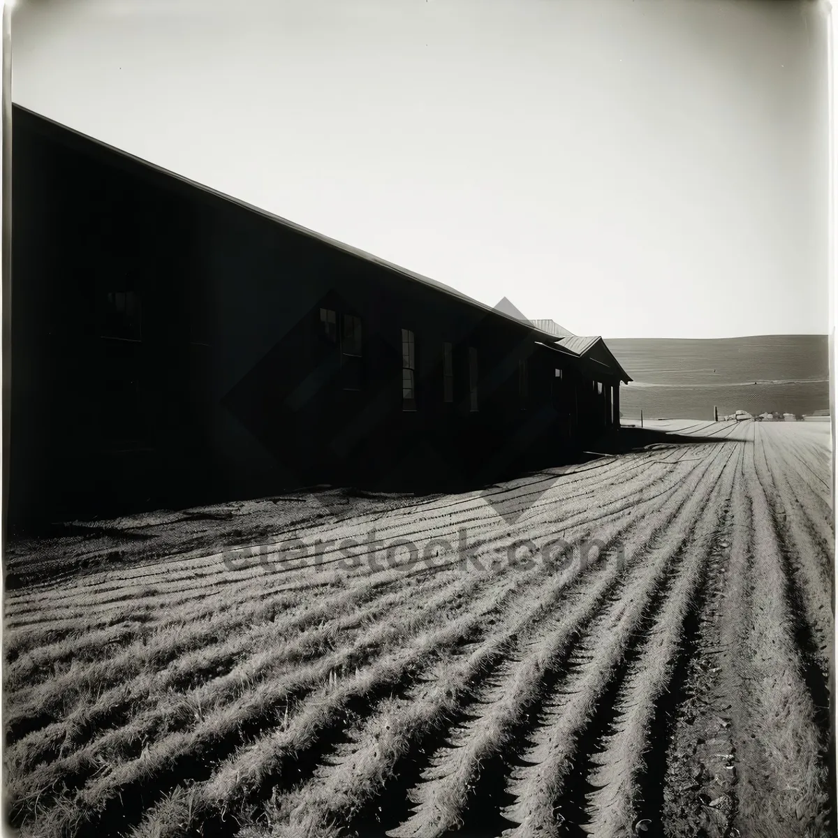 Picture of Rustic Barn Along the Scenic Skyline