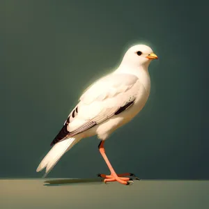 Seagull in Flight over the Coastal Waters