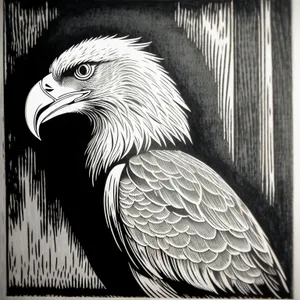 Bold Eagle: Majestic Predator with Piercing Gaze