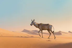 Safari landscape with horse and camel in desert.