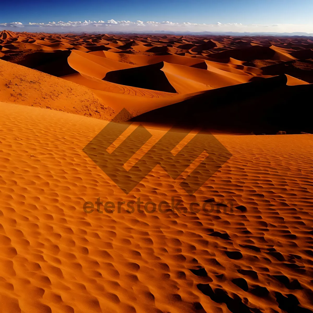 Picture of Vibrant Sahara Desert Dunes under Scorching Sun