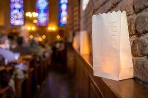 Protective Lampshade Covering for Shade