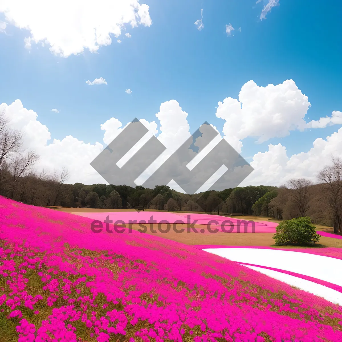 Picture of Moss Pink Meadow Under Sunny Skies