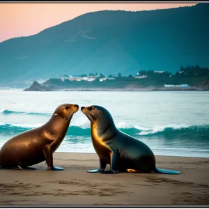 Playful Sea Lion Lounging on Sandy Beach